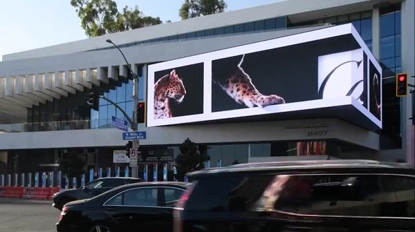 Cartier Panther Sits on Screen Edge