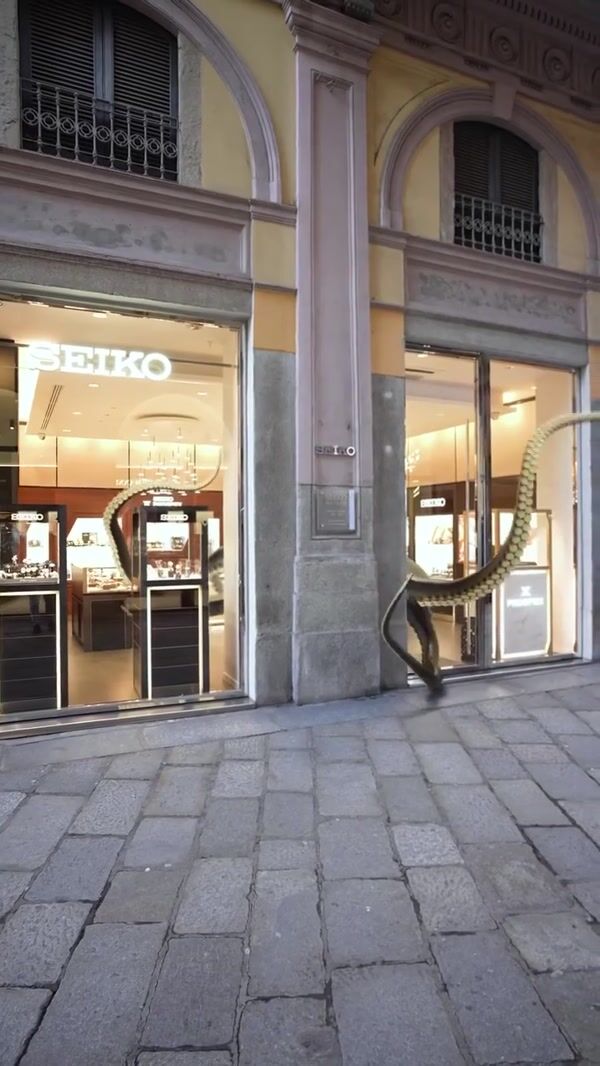 Seiko Octopus Emerges from Milan Boutique