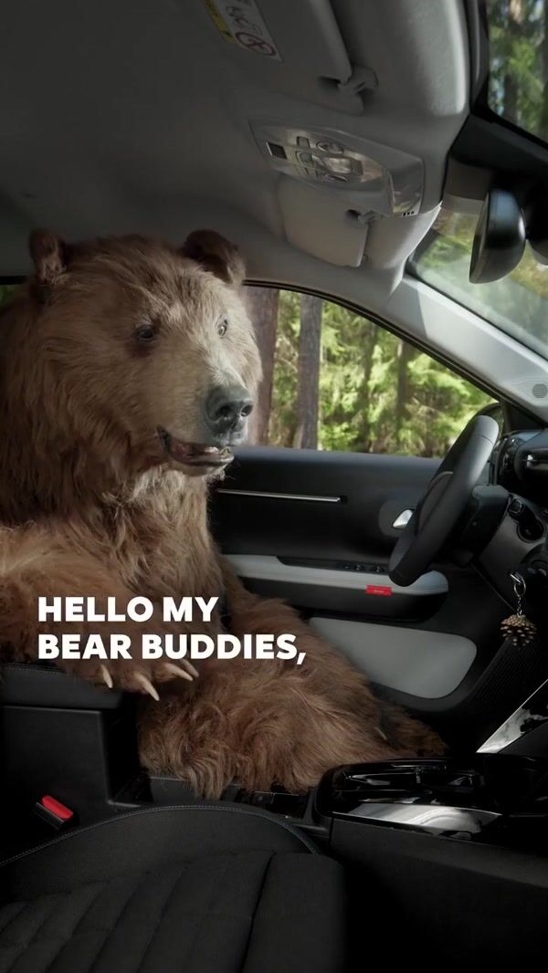 Citroën Grizzly Bear Falls Asleep Inside the Car