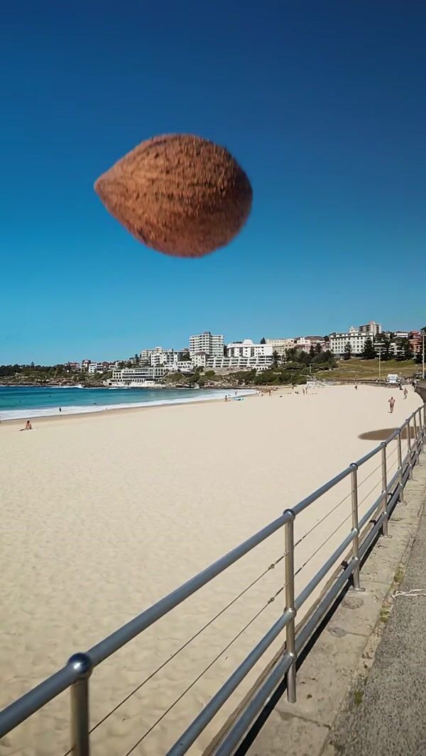 Palmer's Massive Coconut Crashes on Bondi Beach