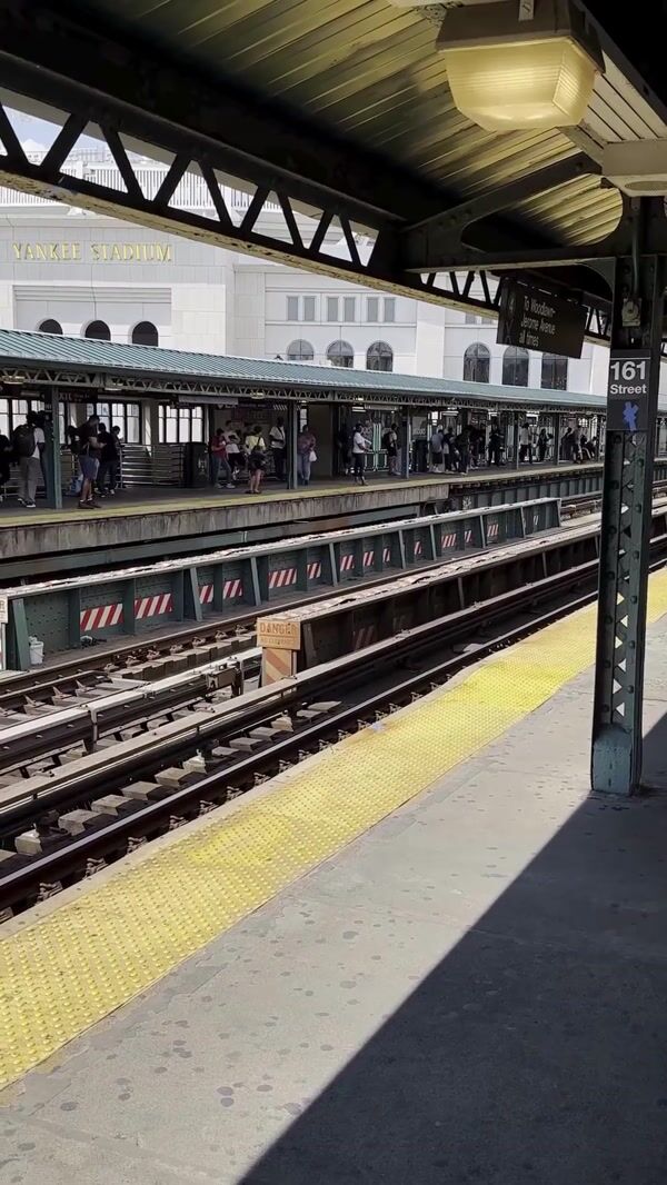 New York Yankees DKNY Train Baseball Avalanche