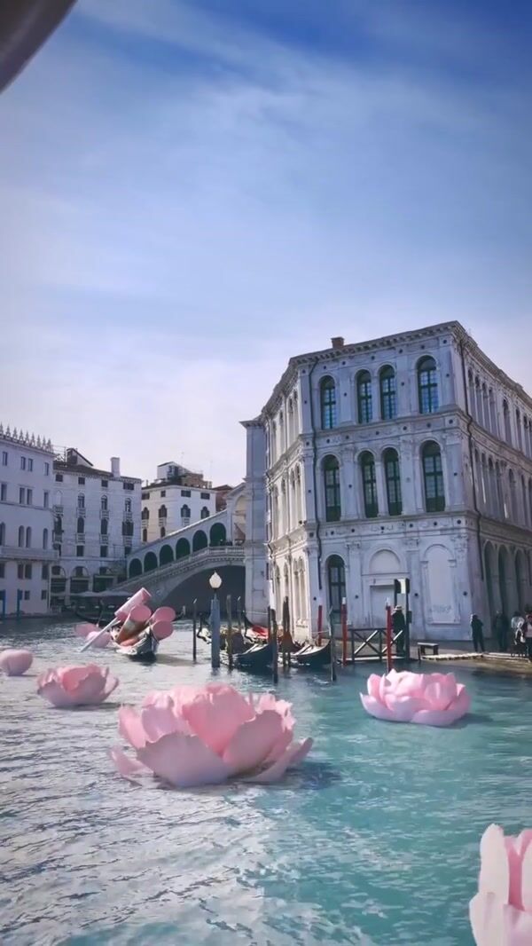 Ahood Beauty Flower Bloom in Venice Canal
