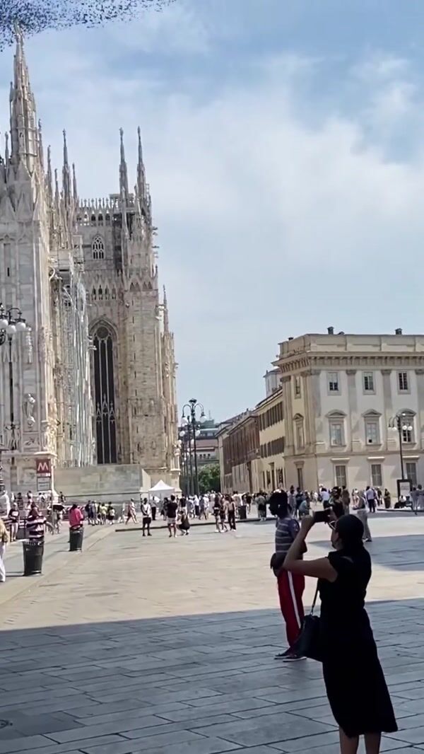 Timberland Birds Form Tree Logo Above Milan Duomo