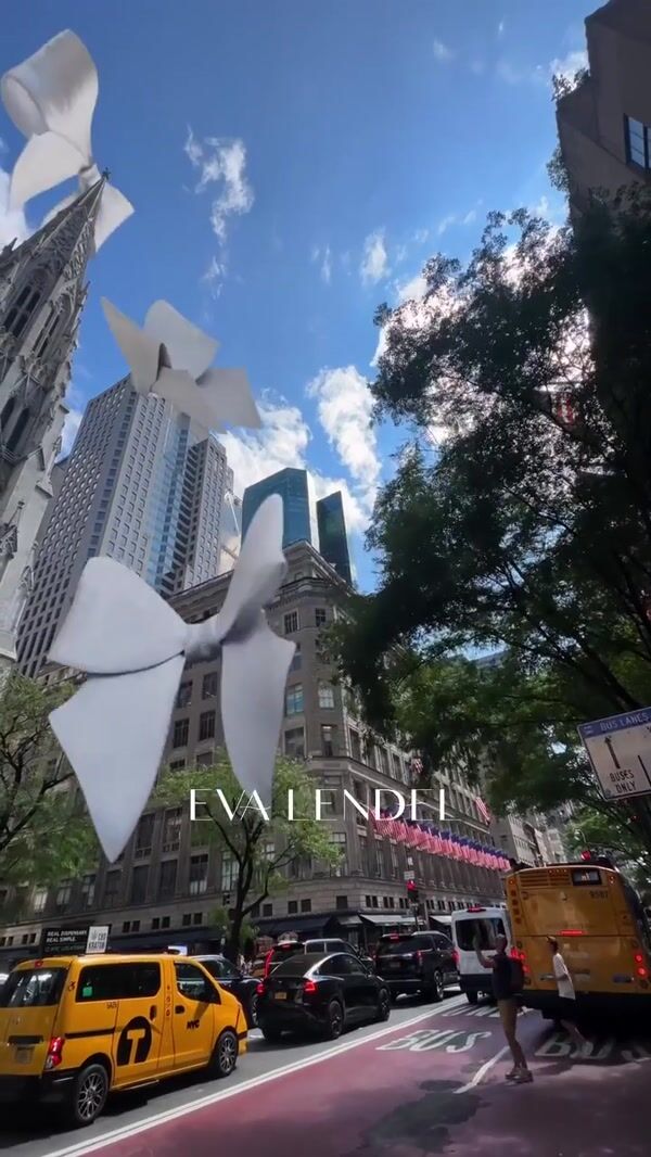 Eva Lendel Butterfly Bows Perched on the Buildings