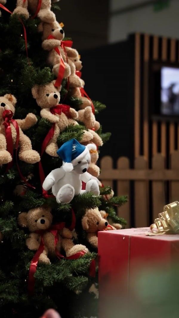 BMW Teddy Bear Comes to Life