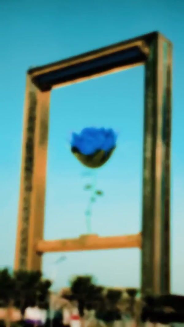 Nelson Letizio Giant Flower Blooms at Dubai Frame