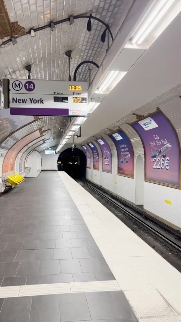 French Bee Graffiti-themed Train Arrives at Subway
