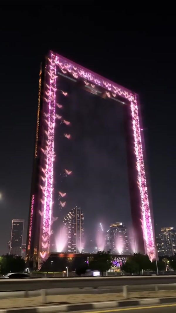 Victoria’s Secret Giant Pink Frame With Butterflies