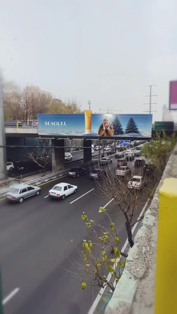 Seagull Giant Sunscreens Emerge from Overpass Billboard