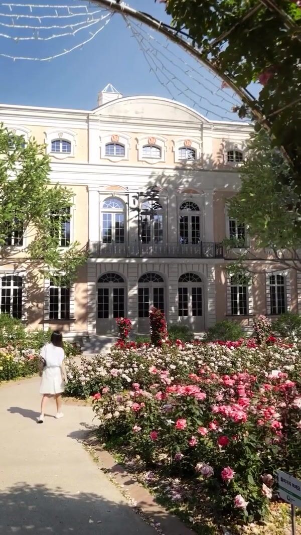Pandora Rose Charm Blooms Inside Building