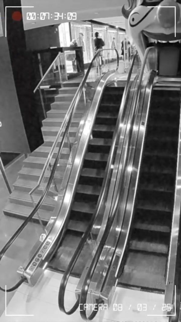 Galeries Lafayette Clown Head Emerges at Escalator