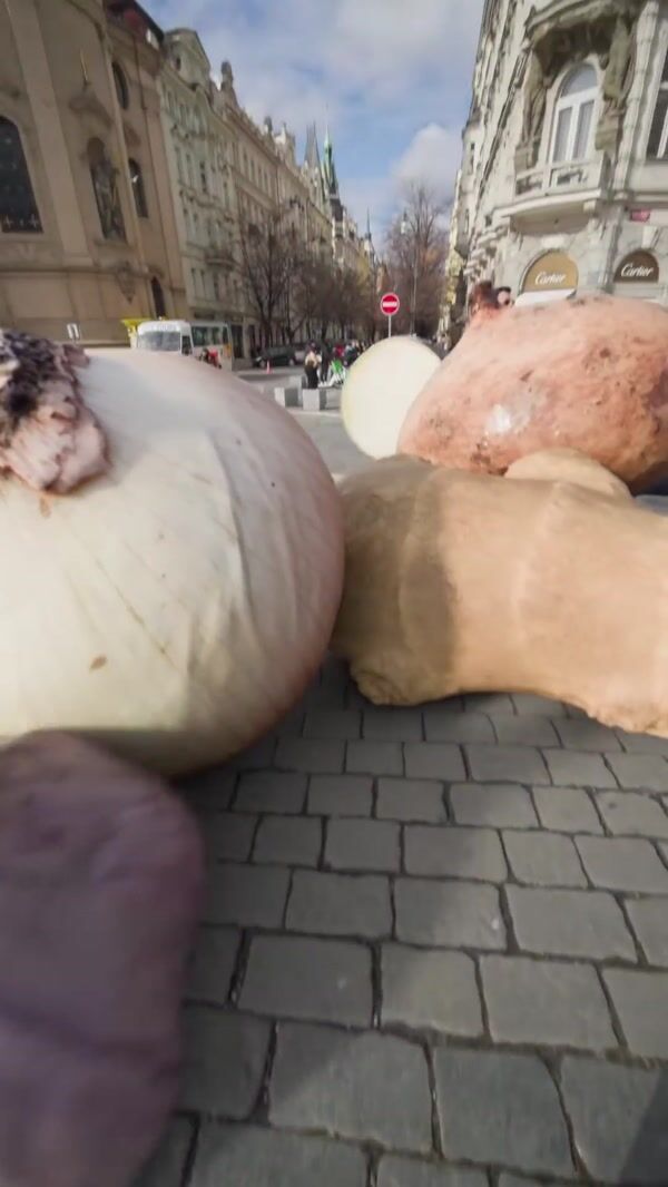 Tefal Giant Vegetables Go in Giant Pressure Cooker