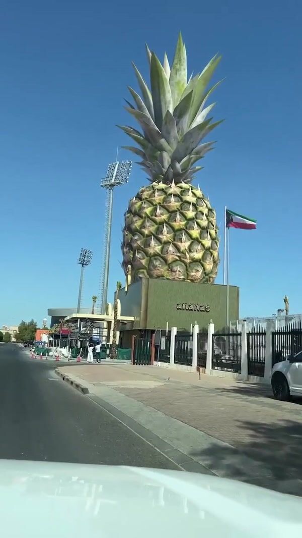 Ananas Pineapple Installation Above Store