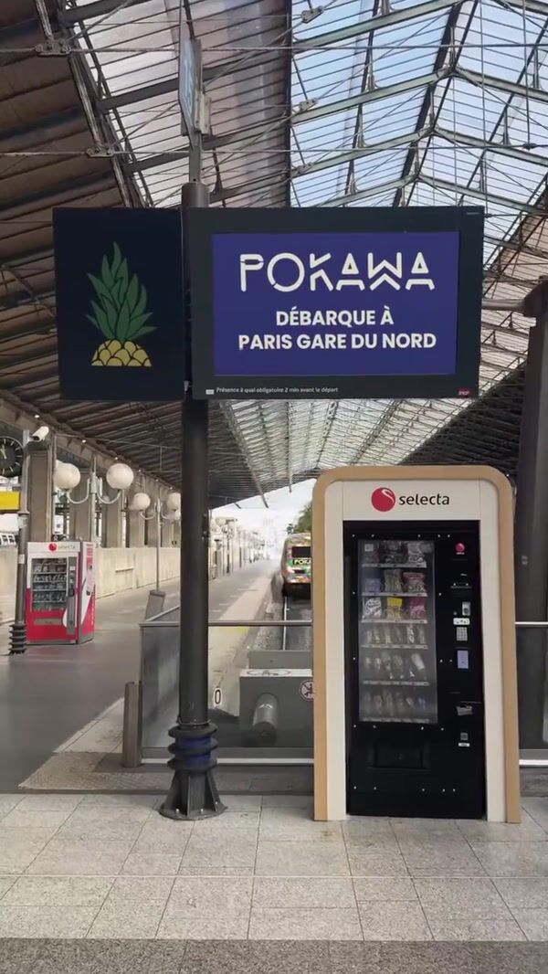 Pokawa Hawaiian Theme Installation on Train
