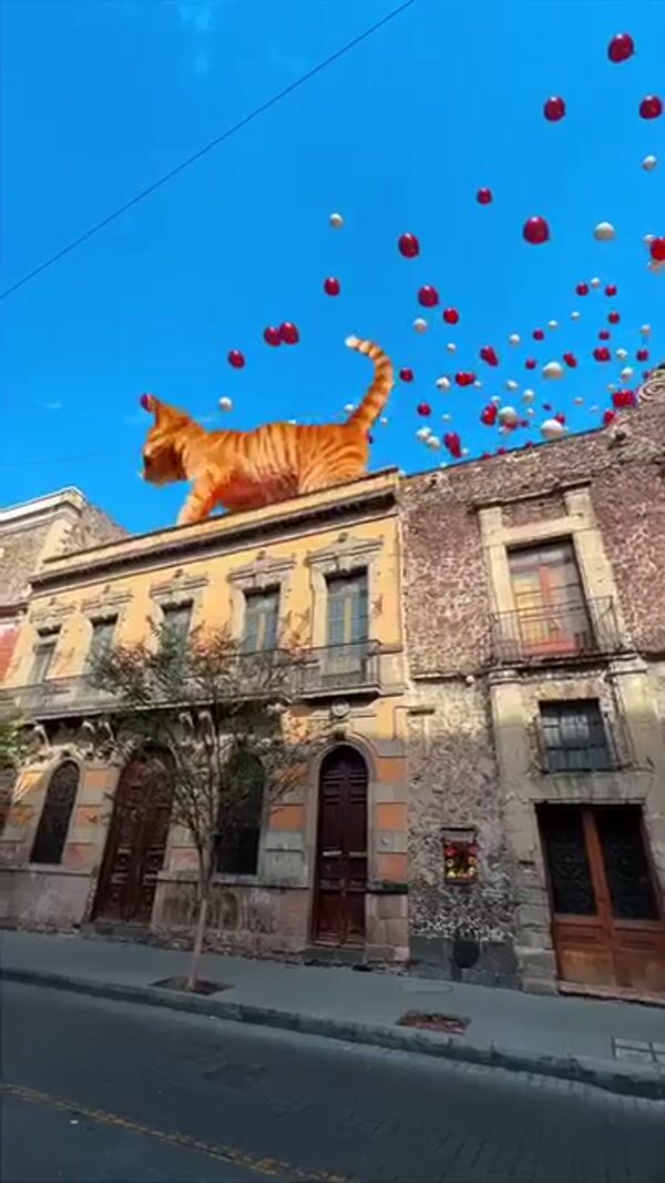 Royal Canin Giant Cat Peeks From Rooftop
