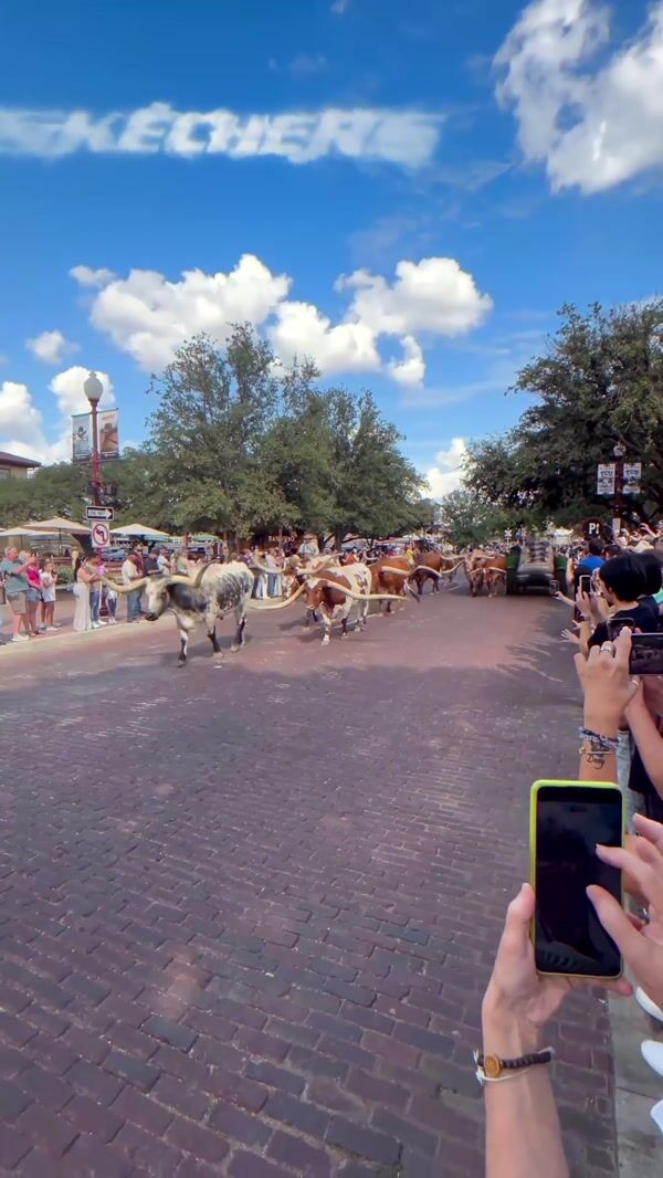 Skechers Shoe Tractors on Bull Parade