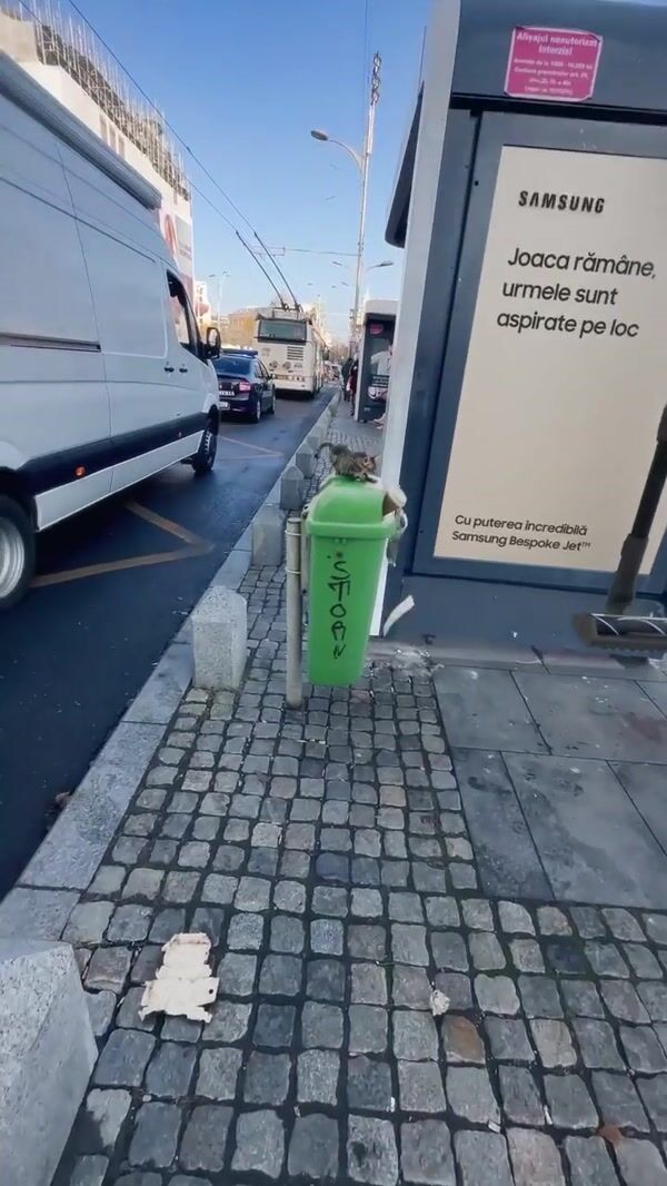 Samsung Vacuum Cleanup Sidewalk