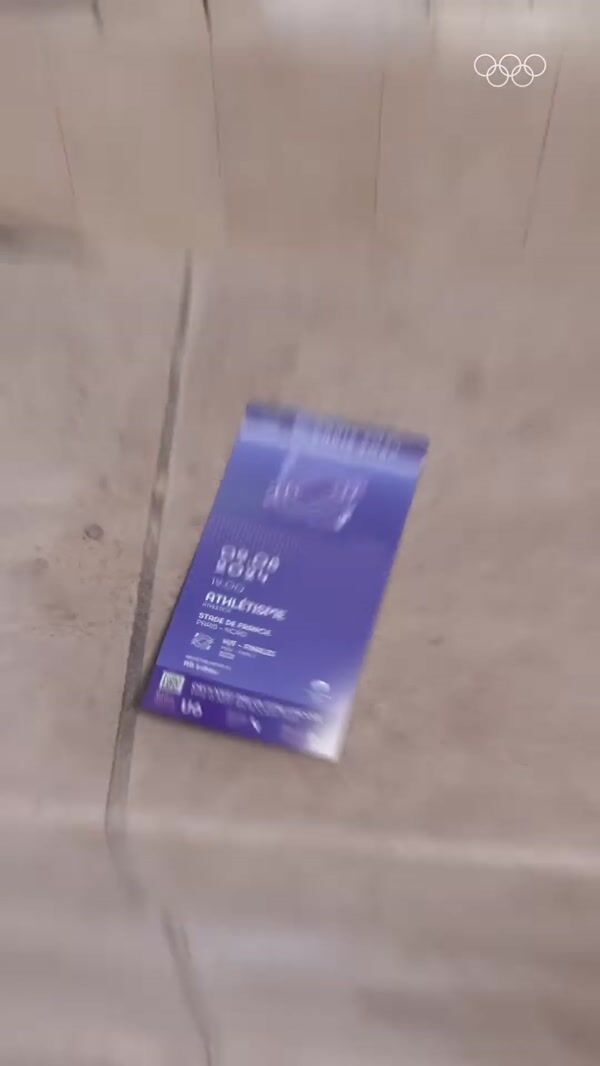 Olympic ticket for Finding an Phyrge Toy