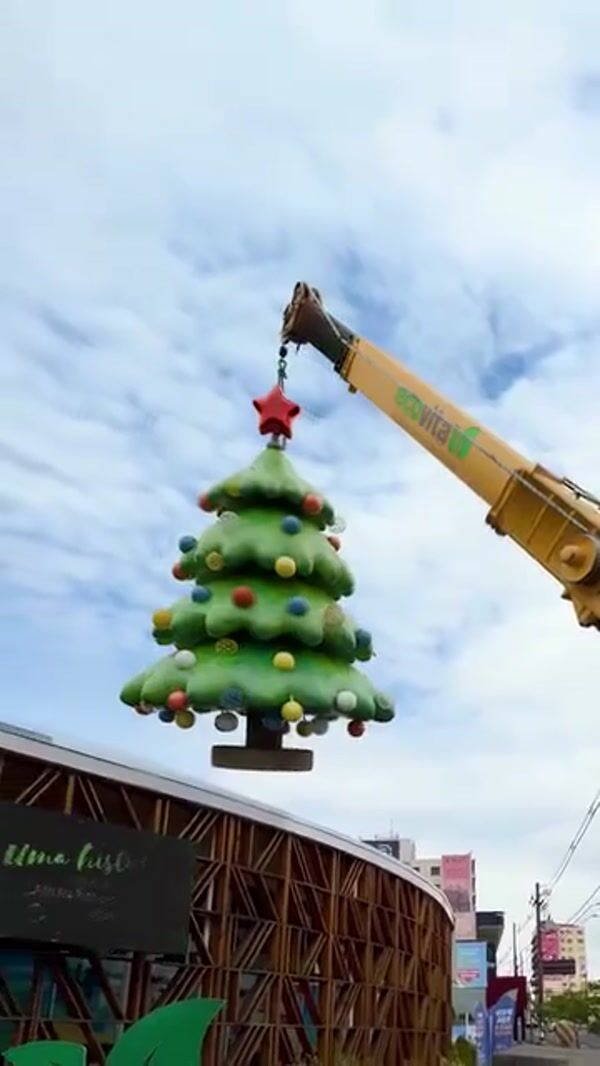 Ecovita Giant Christmas Tree Lands on Roof
