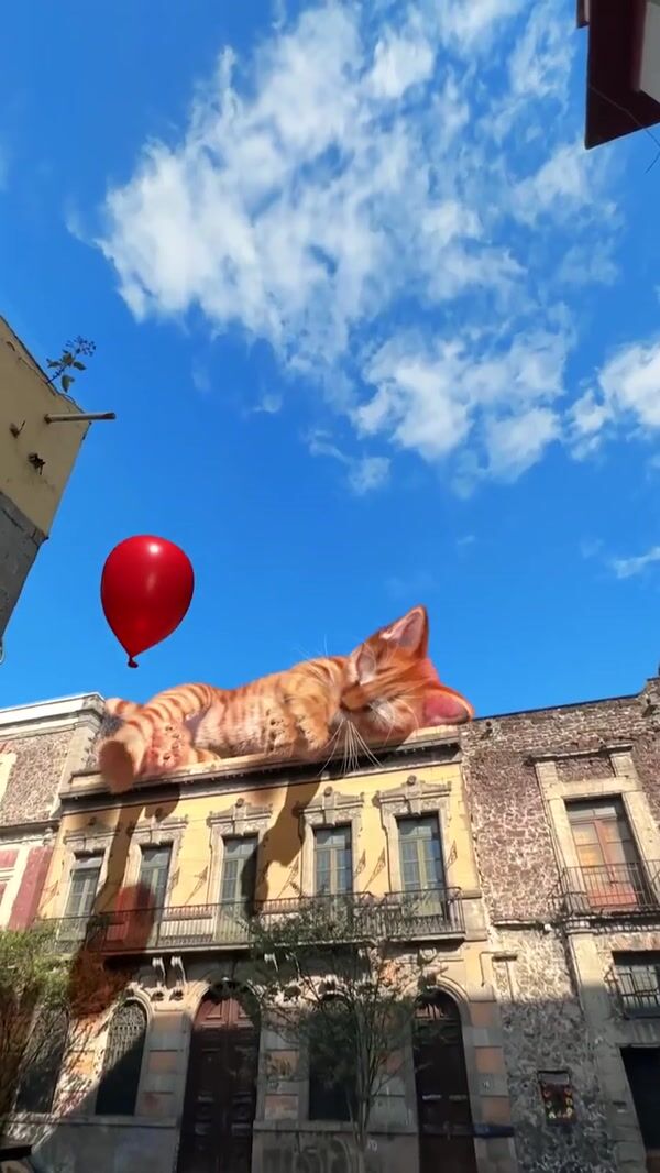 Royal Canin Giant Cat Awakened by Balloons