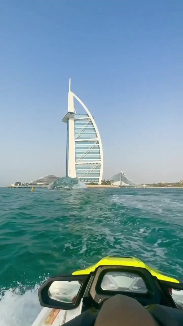 BrandDubai Jelly Fish Swims Above the Sea