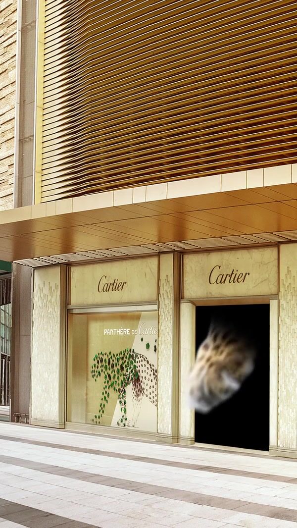 Cartier Panther Tail and Paws Peek at Stores