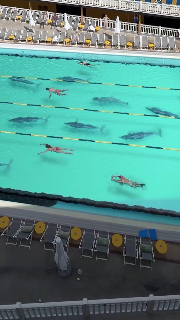 LG OLED TV Submerged in Olympic Pool