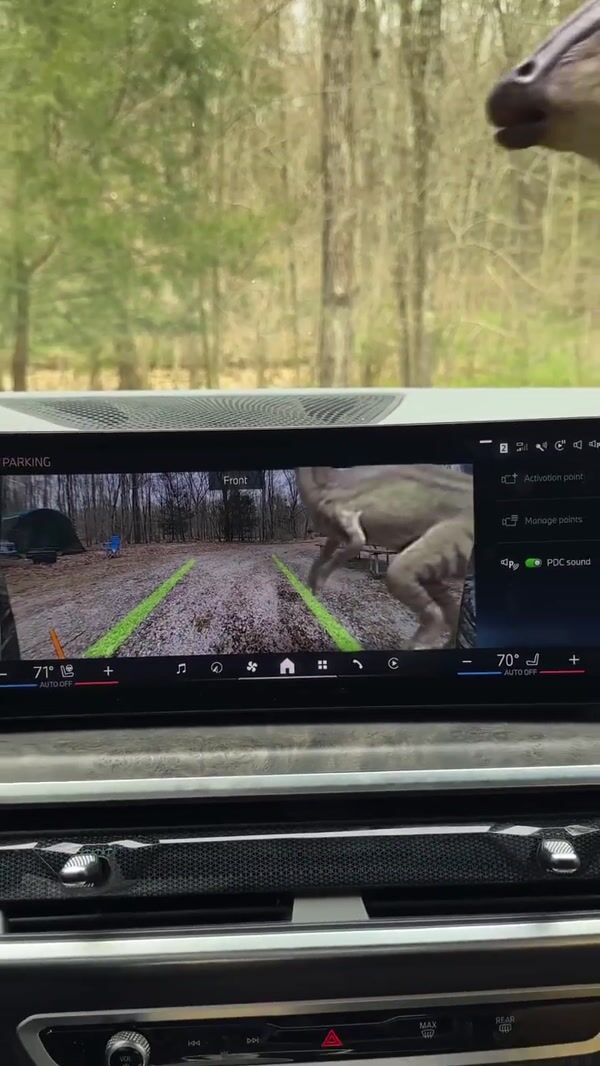 Netflix Dinosaurs Appear in Front of Car