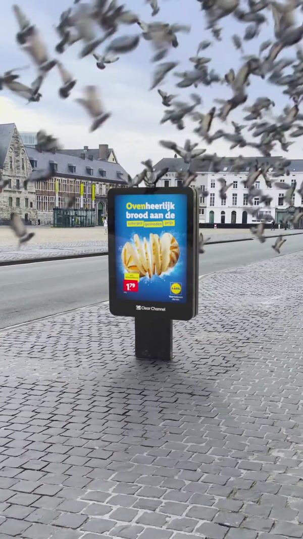 Lidl Pigeons Land Around Digital Ad