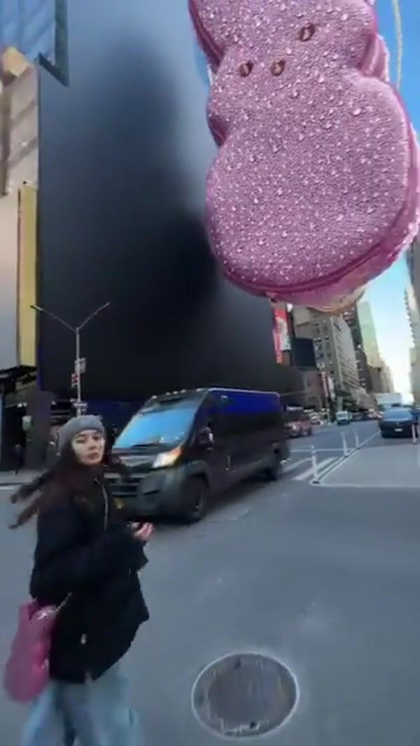 Betsey Johnson Bunny Bag Bumps on Digital Screen