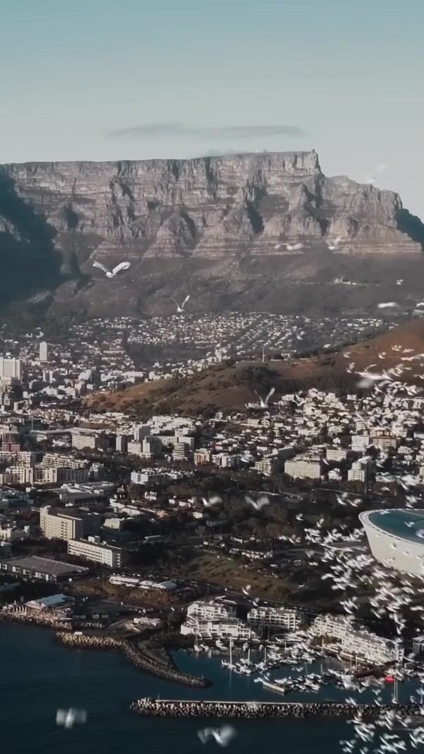 AMIRI Logo Formed by Doves Midair in Cape Town