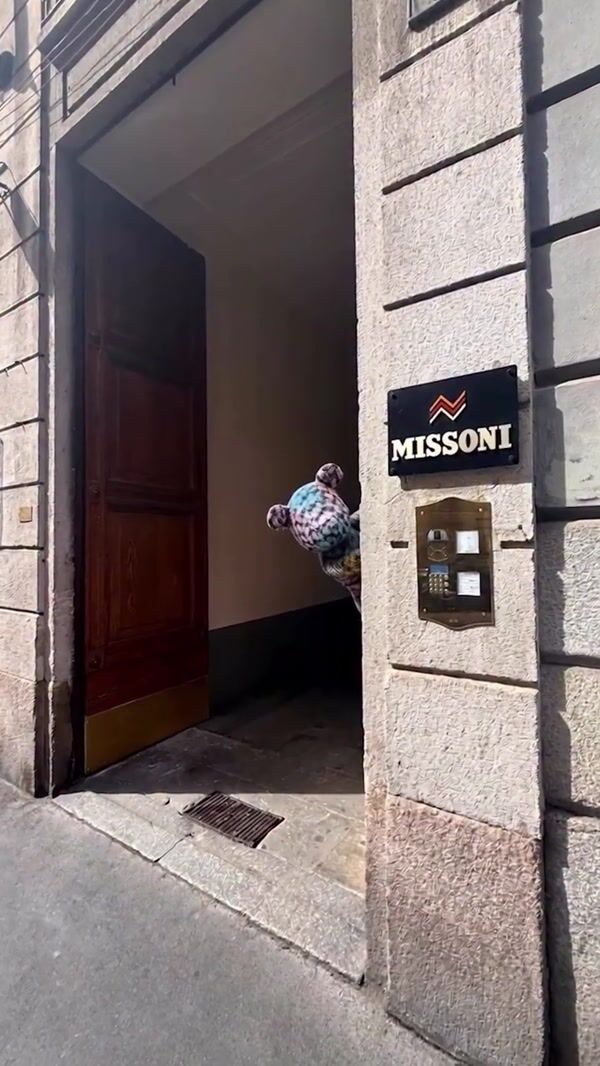 Missoni Patchwork Bear Runs Through Milan