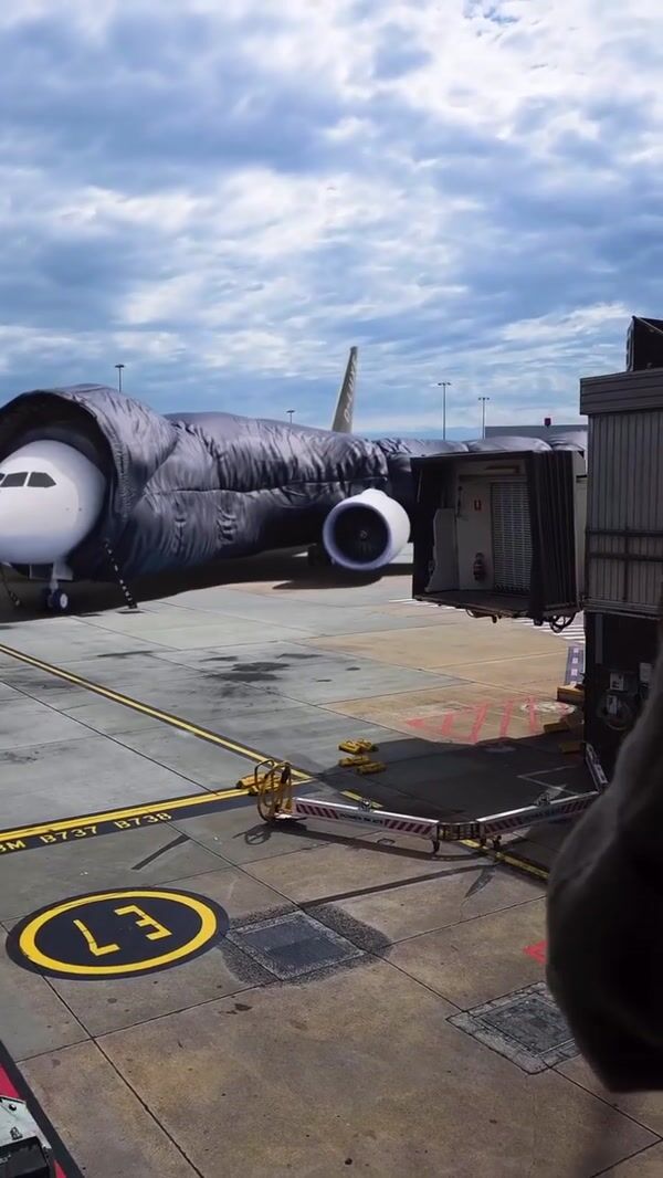 D-LUXE Airplane Wears a Puffer Jacket