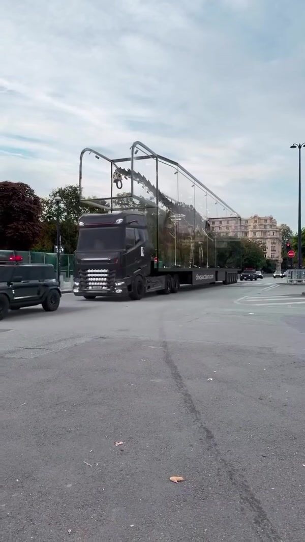 Collin du Bocage Truck Transports Dinosaur Skeleton