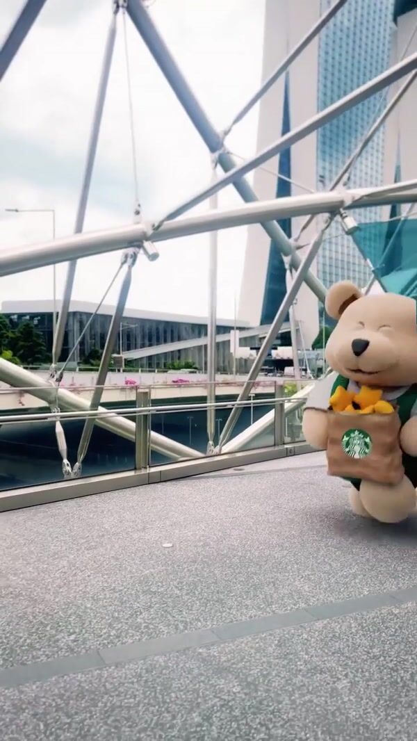Starbucks Teddy Bear with Bag Full of Stars