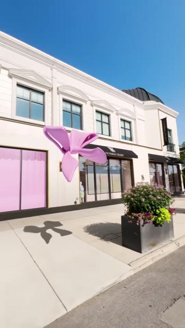 VS PINK Ribbon Butterfly Perches at Store