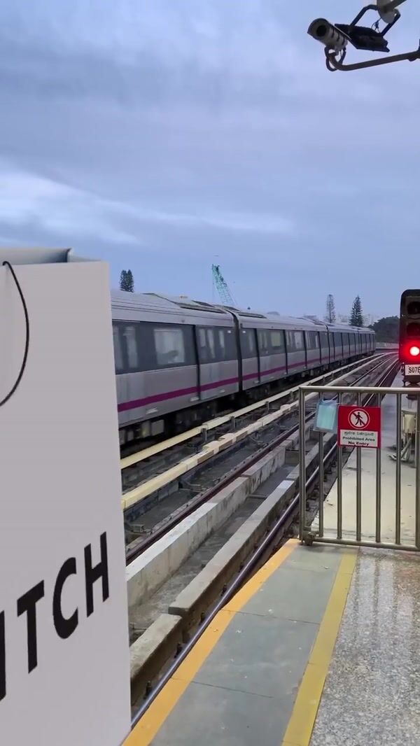 Snitch Shopping Bags Driving Like Train
