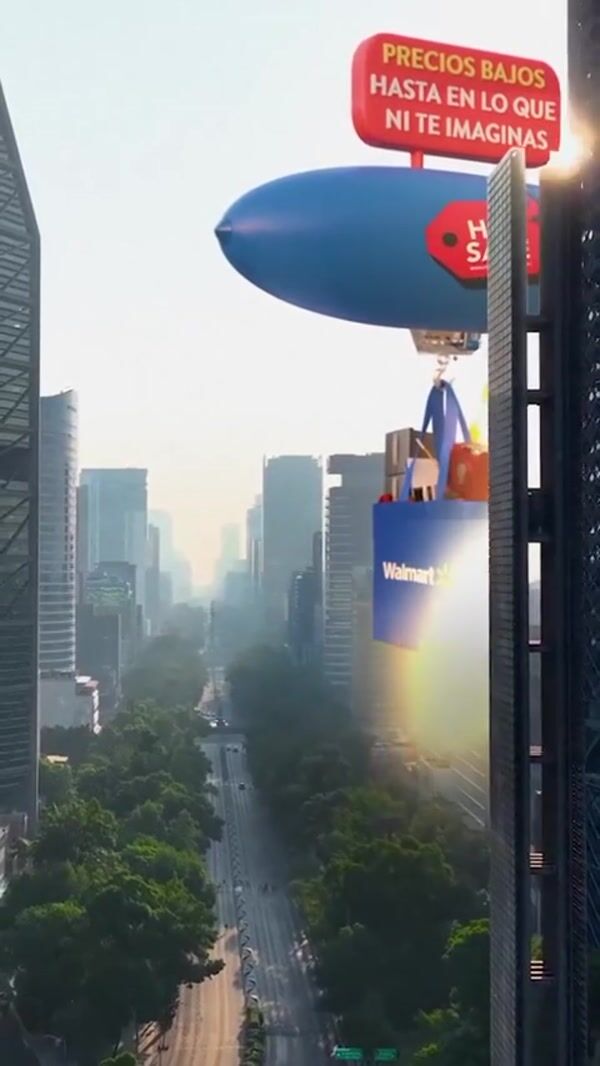 Walmart Airship Carrying Shopping Bag
