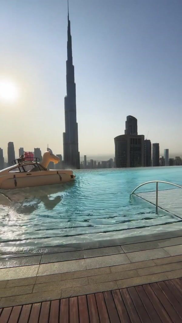 Porsche-Camel Hybrid Takes a Dip in Dubai