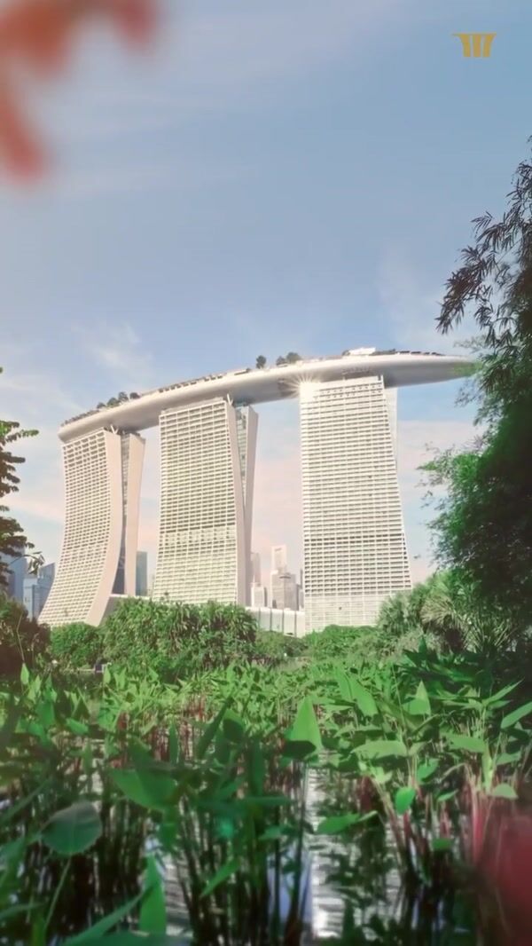 Marina Bay Sands Koi Transformed to Dragon