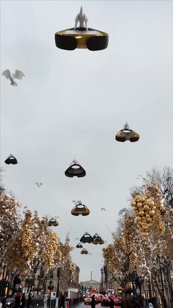 Balmain Bags Delivered by Doves in Paris