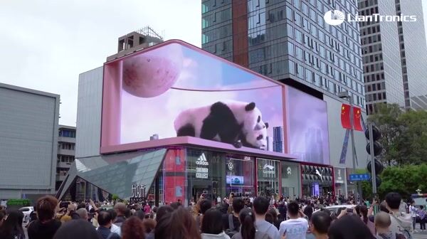 Pandas Peek Over Billboard Edge
