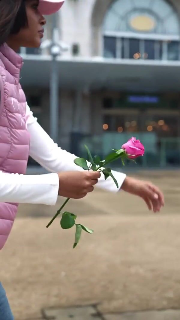 Musc Intime Pink Roses Bloom on Clock Tower