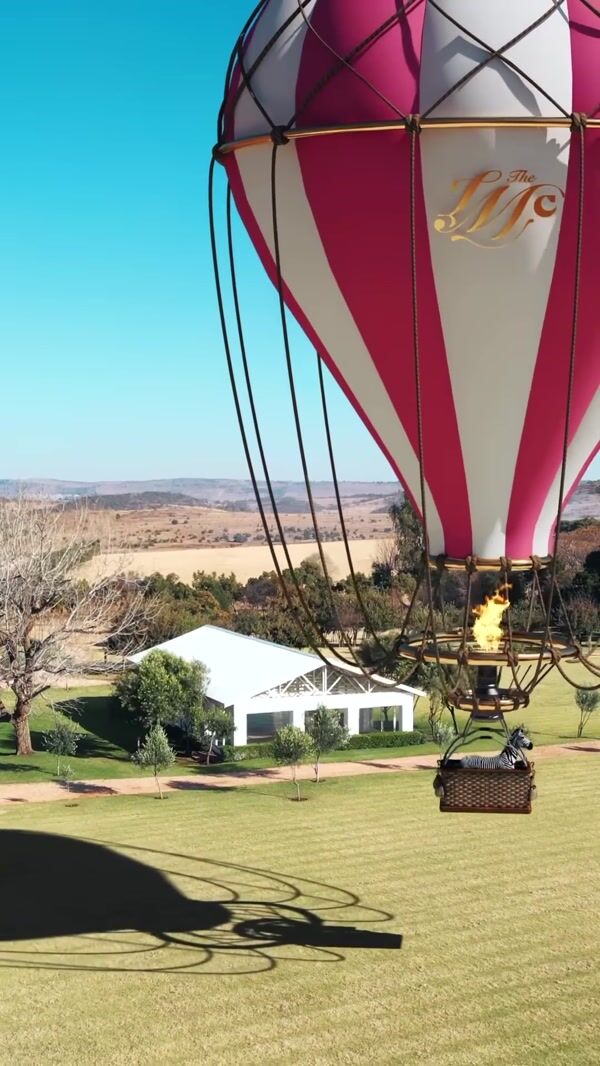 LMC Hot Air Balloon Lands with Zebra at Ground The Venue