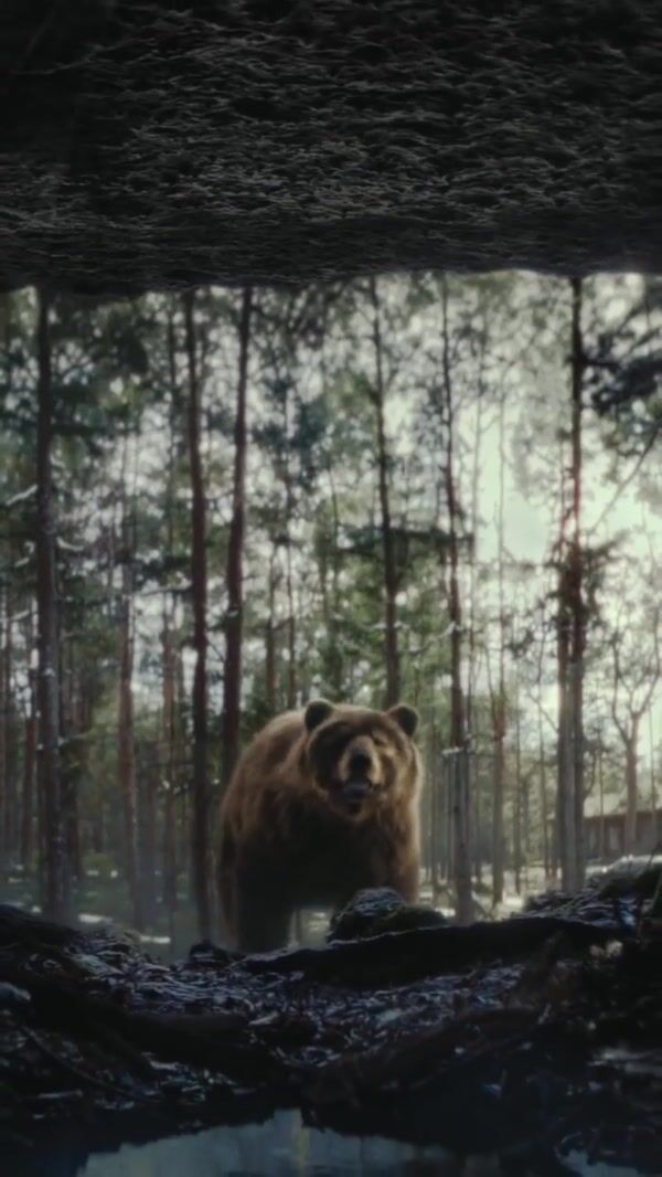 Citroën Grizzly Bears Chasing the Car