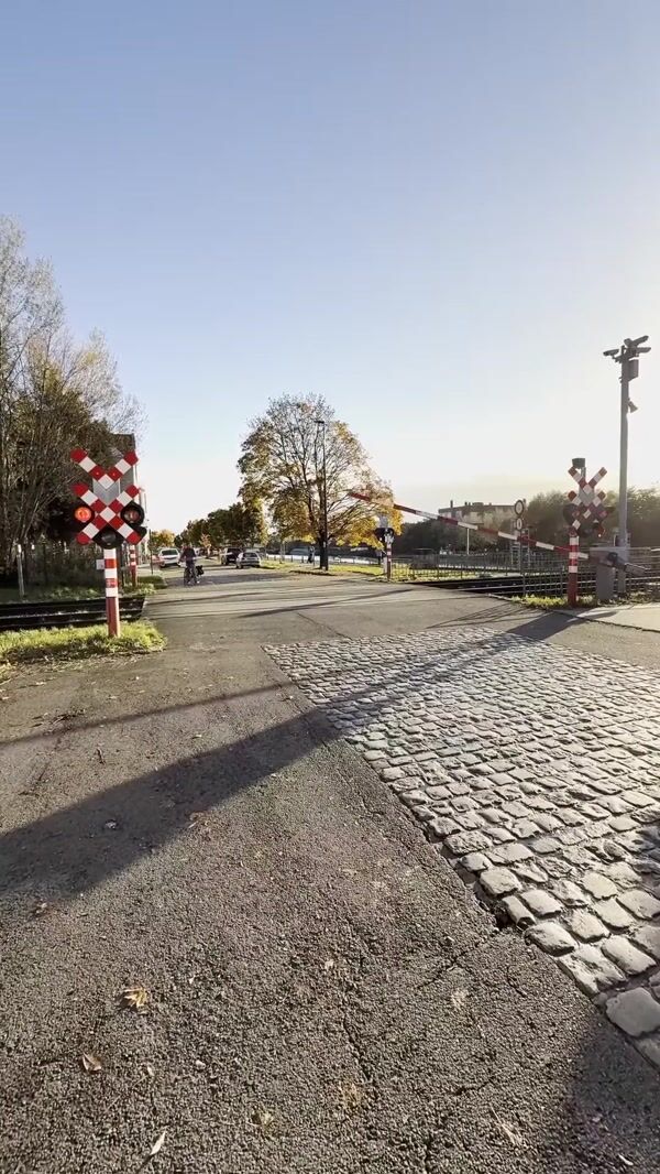 HEMA Toy Train Crossing the Railway