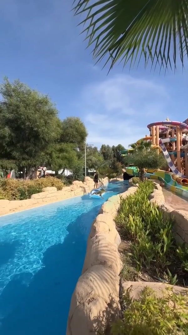 Delphin Hotels Man Surfs on Silver Dolphin