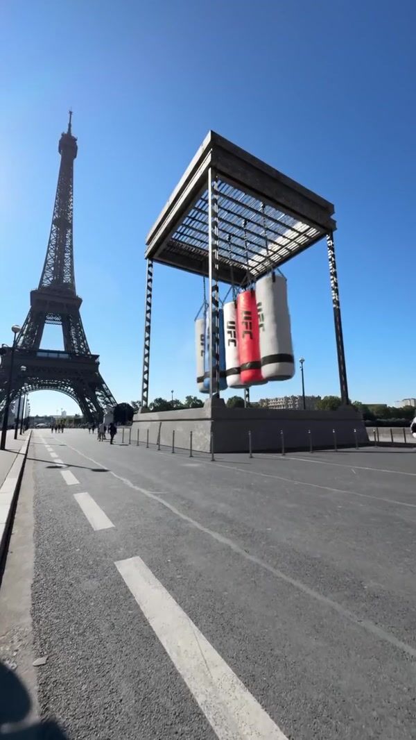 UFC Sports Punching Bags in France