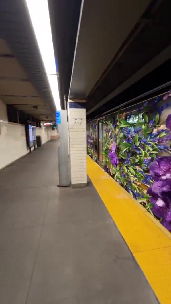 Cinq a Sept Purple Orchids Blooms on Subway Train