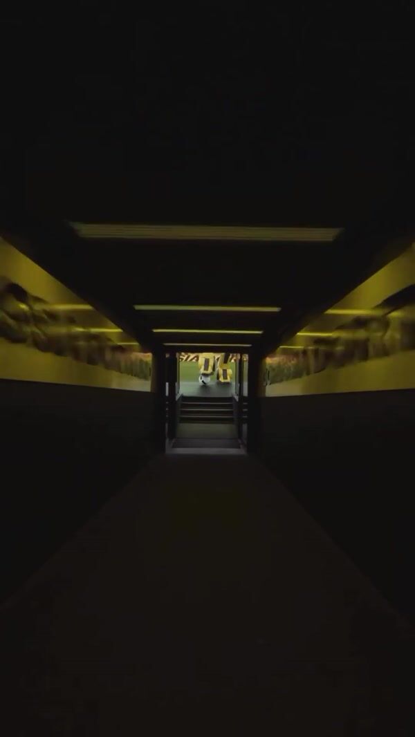 Borussia Dortmund Bumblebee Plays Football